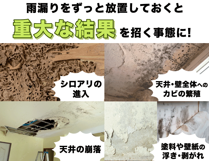 雨漏りをずっと放置しておくと重大な結果を招く事態に! シロアリの進入！天井・壁全体へのカビの繁殖！天井の崩落！塗料や壁紙の浮き・剥がれ